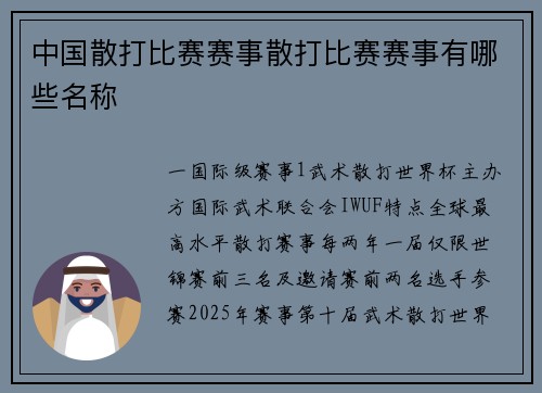 中国散打比赛赛事散打比赛赛事有哪些名称